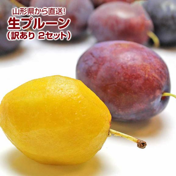 訳あり 生プルーン プレジデント 山形県産 約1kg 詰め合わせ 2箱 セット 日本ロイヤルガストロ倶楽部の通販 お取り寄せなら ぐるすぐり