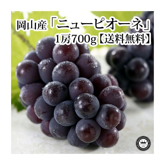 ニューピオーネぶどう 葡萄 岡山県産 約700g 1房 化粧箱入り 送料無料 日本ロイヤルガストロ倶楽部の通販 お取り寄せなら ぐるすぐり