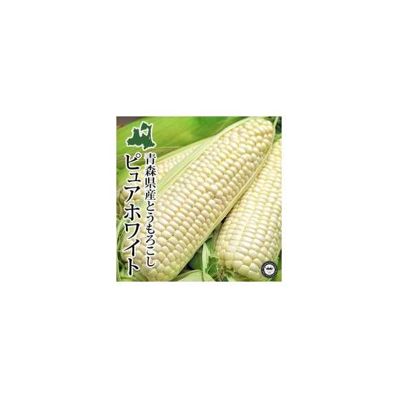 ピュアホワイト 青森県産 10本入り 送料無料 幻の白いとうもろこし 日本ロイヤルガストロ倶楽部の通販 お取り寄せなら ぐるすぐり