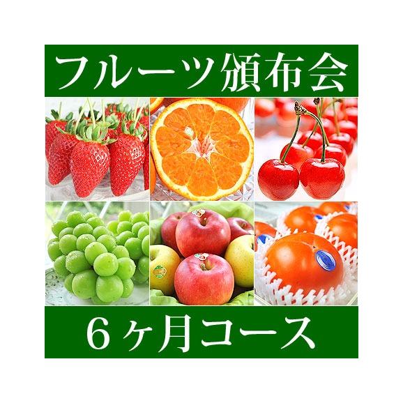 6ヵ月コース フルーツ頒布会 果物はんぷかい 毎月旬の果物をお届けの通販なら日本ロイヤルガストロ倶楽部 日本ロイヤルガストロ倶楽部の通販 お取り寄せなら ぐるすぐり 6ヵ月コース フルーツ頒布会 果物はんぷかい 毎月旬の果物をお届けの通販なら日本ロイヤルガストロ倶楽部 日本ロイヤルガストロ倶楽部の通販 お取り寄せなら ぐるすぐり
