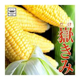 ピュアホワイト 青森県産 10本入り 送料無料 幻の白いとうもろこし 日本ロイヤルガストロ倶楽部の通販 お取り寄せなら ぐるすぐり