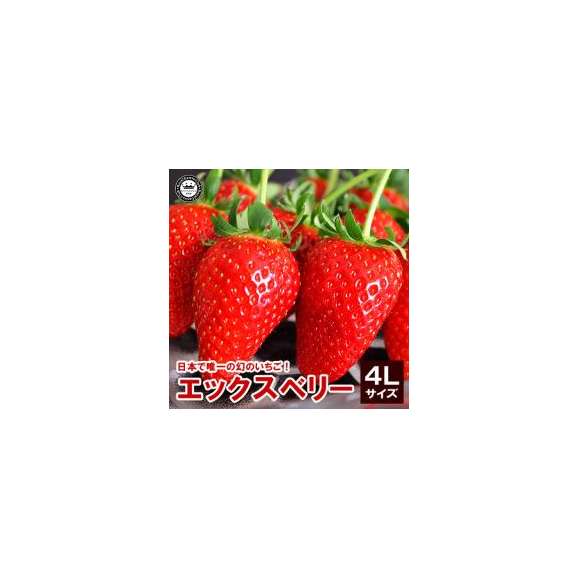 X エックス ベリーいちご 苺 福島県産 4lサイズ 15粒詰め 送料込み 日本ロイヤルガストロ倶楽部の通販 お取り寄せなら ぐるすぐり