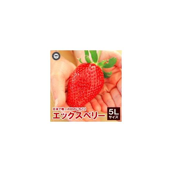 X エックス ベリーいちご 苺 福島県産 5l特大サイズ 12粒詰め 送料込み 日本ロイヤルガストロ倶楽部の通販 お取り寄せなら ぐるすぐり
