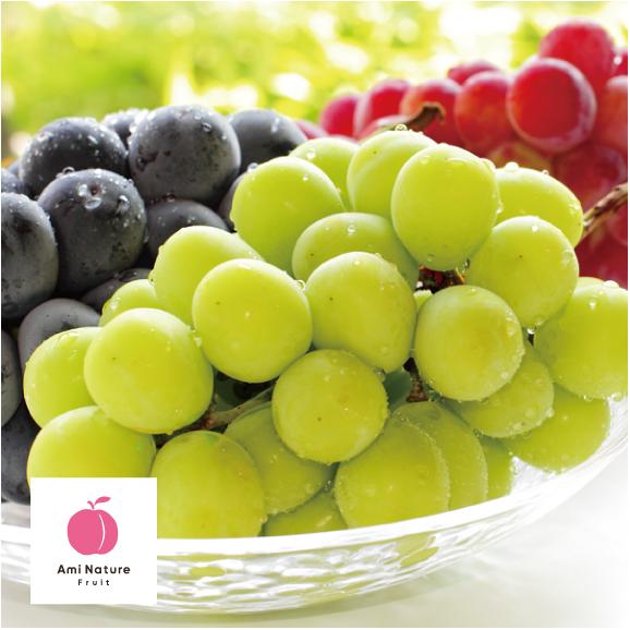 期間限定 アミナチュールフルーツの旬の葡萄3色詰合せ各1房 2 0kg Ami Natureの通販 お取り寄せなら ぐるすぐり