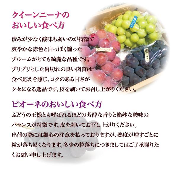 期間限定 アミナチュールフルーツの旬の葡萄3色詰合せ各1房 2 0kg Ami Natureの通販 お取り寄せなら ぐるすぐり