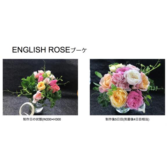 母の日限定 ｅｎｇｌｉｓｈ ｒｏｓｅと薔薇入りゼリーのセット 送料無料 あんこ堂の通販 お取り寄せなら ぐるすぐり