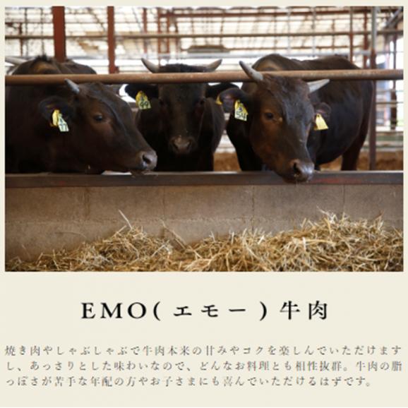 宮崎 有田牛 Emo牛 手ごね生ハンバーグ 150g 10個セット 有限会社 有田牧畜産業 食肉加工センターの通販 お取り寄せなら ぐるすぐり