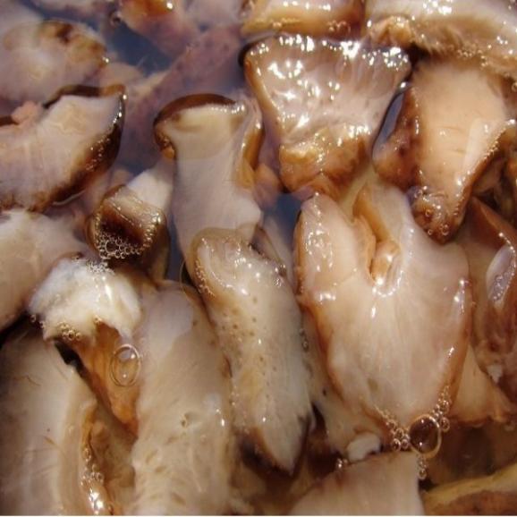 絶品 味付き青なまこ500g ナマコ 海鼠 Ask Sanin 山陰境港の通販 お取り寄せなら ぐるすぐり