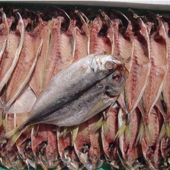 あじ開き枚入り 鯵 アジ 乾物 干物 Ask Sanin 山陰境港の通販 お取り寄せなら ぐるすぐり