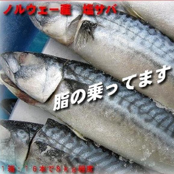 塩サバ18本入り 塩鯖 しおさば 塩漬け Ask Sanin 山陰境港の通販 お取り寄せなら ぐるすぐり