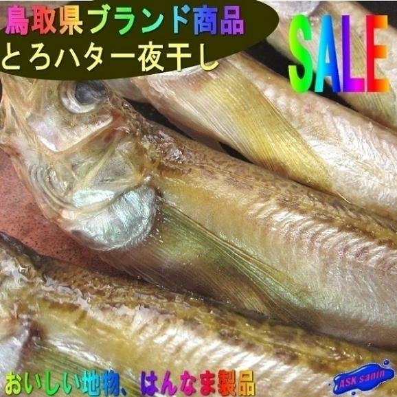 とろはた一夜干し尾入り ハタハタ 鰰 とろはた トロハタ 境港 ハタハタ 鰰 干物 乾物 Ask Sanin 山陰境港の通販 お取り寄せなら ぐるすぐり