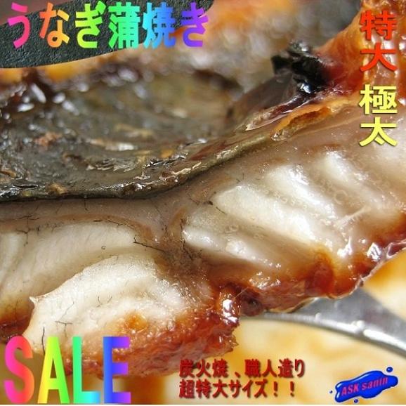 超特大サイズ炭焼き うなぎ蒲焼き5kg 有頭13 16尾 ウナギ 鰻 Ask Sanin 山陰境港の通販 お取り寄せなら ぐるすぐり