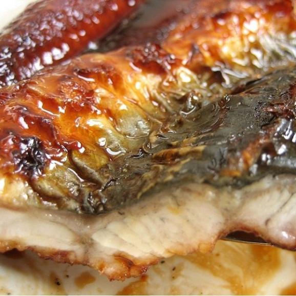 超特大サイズ炭焼き うなぎ蒲焼き5kg 有頭13 16尾 ウナギ 鰻 Ask Sanin 山陰境港の通販 お取り寄せなら ぐるすぐり