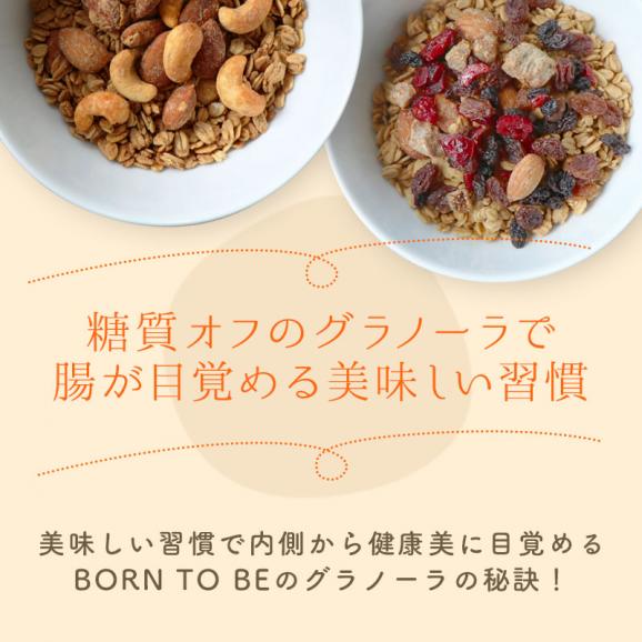 All Nuts 180g オーガニック グラノーラ 糖質オフ グルテンフリー ノンシュガー Born To Beの通販 お取り寄せなら ぐるすぐり