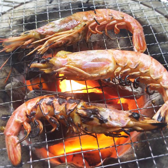 送料無料 大ボリューム海鮮バーベキューセット 8種30品5人前 大あさり 片貝ホタテ 殻付き牡蠣有り q 海の幸 海鮮 魚介類 大容量 地鶏坊主 坊 S オンラインストアの通販 お取り寄せなら ぐるすぐり