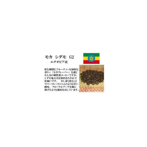 　メール便　送料無料　モカ　シダモ　150g　レギュラーコーヒー　コーヒー　コーヒー豆　エチオピア産01