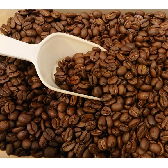 メール便　送料無料　タンザニアAA（キリマンジャロ）　150g　レギュラーコーヒー　コーヒー　コーヒー豆03
