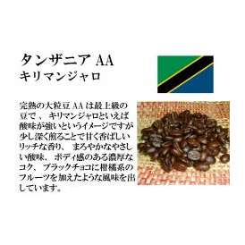 メール便　送料無料　タンザニアAA（キリマンジャロ）　300g　レギュラーコーヒー　コーヒー　コーヒー豆