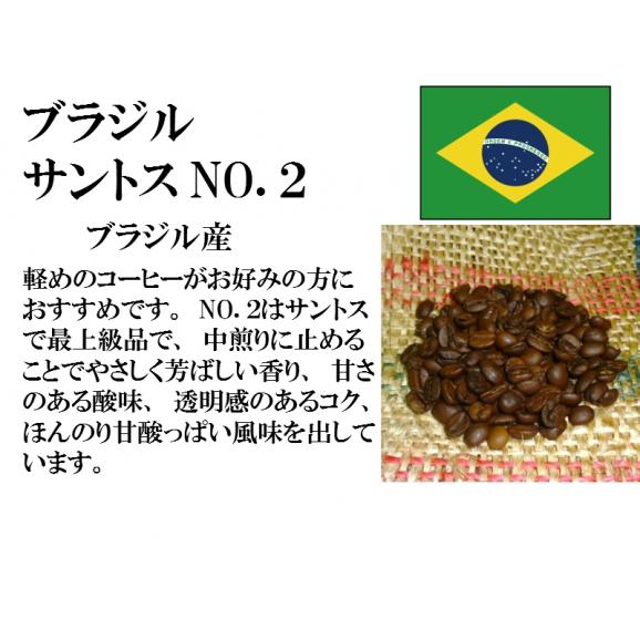 比較テイスティングセット　ストレートコーヒー＆ ストレートコーヒー　ブラジルサントスNO.２　タンザニアAA(キリマンジャロ)　150g+150g　レギュラーコーヒー　コーヒー　コーヒー豆　送料無料02