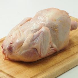 ひな鳥 丸鶏 約1.3kg(ブラジル産) (pr)(09060)
