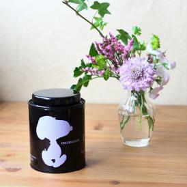 Snootea スヌーティー 3缶セット フィーユ ブルーの通販 お取り寄せなら ぐるすぐり