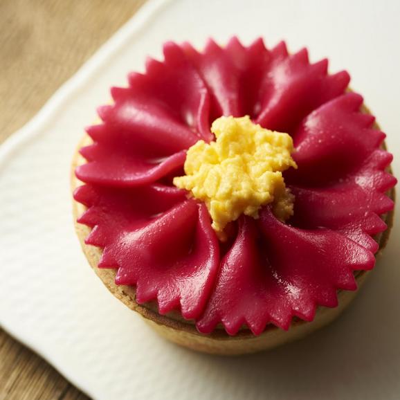 コスモス エビ マカロニ 花言葉 乙女の愛情 Flowerquiche 本店の通販 お取り寄せなら ぐるすぐり