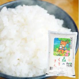 森のくまさん 米 送料無料 5kg 令和3年産 新米 熊本県産 白米 お米 こめ 新米 ひのひかり こしひかり