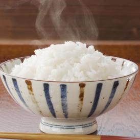 ひのひかり 米 送料無料 10kg 令和3年産 新米 熊本県産 お米 白米 玄米 コシヒカリ 森のくまさん
