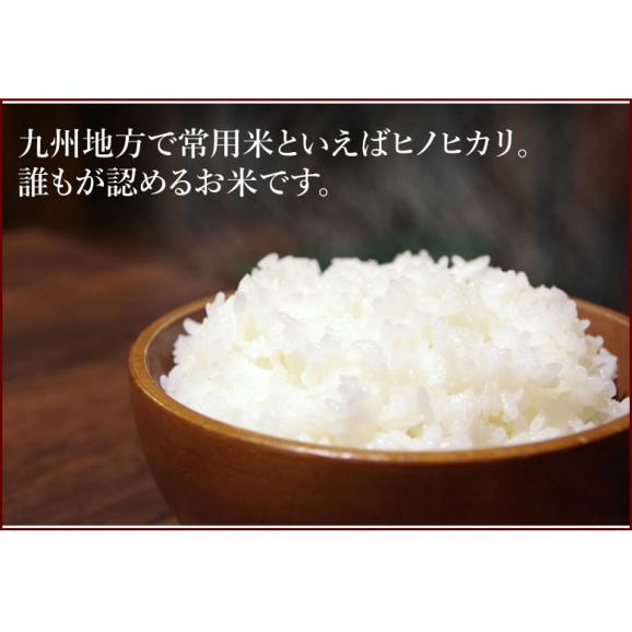 ひのひかり 米 送料無料 5kg 令和2年産 新米 熊本県産 お米 白米 玄米 コシヒカリ 森のくまさん Foody Sの通販 お 取り寄せなら ぐるすぐり