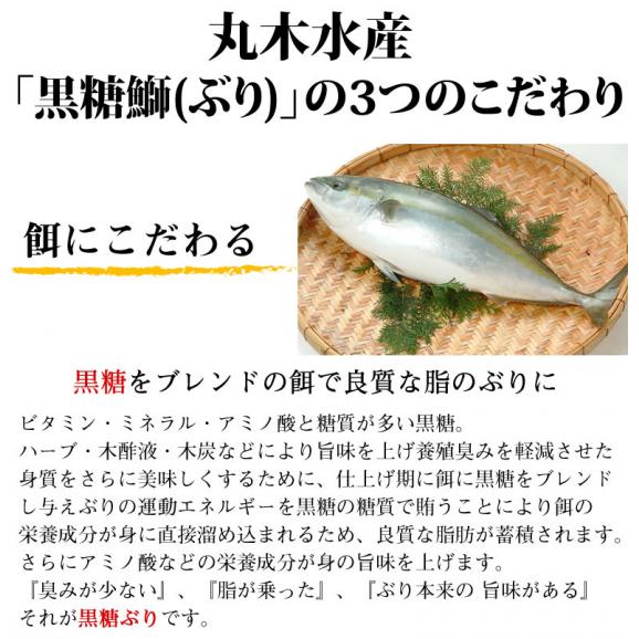 ぶり 漁師の沖めし 鰤 送料無料 70g 5個セット 熊本天草産 海鮮 ギフト 丸木水産 ブリ Foody Sの通販 お取り寄せなら ぐるすぐり