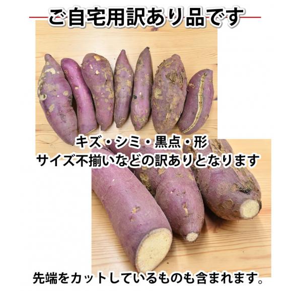 さつまいも 紅はるか 訳あり 5kg 送料無料 熊本県産 サツマイモ 紅蜜芋 焼き芋 芋 いも Foody Sの通販 お取り寄せなら ぐるすぐり さつまいも 紅はるか 訳あり 5kg 送料無料 熊本県産 サツマイモ 紅蜜芋 焼き芋 芋 いも Foody Sの通販 お取り寄せなら ぐるすぐり