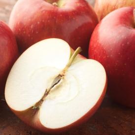 りんご 訳あり リンゴ 送料無料 約1.5kg 長野・青森県産 2セットで1セットおまけ サンふじ つがる ジョナゴールド ふじ 林檎