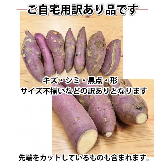 さつまいも 紅はるか 訳あり 10kg 箱込 内容量9kg 補償分500g 送料無料 無選別 べにはるか 熊本県産 サツマイモ 紅蜜芋 焼き芋 芋 いも Foody Sの通販 お取り寄せなら ぐるすぐり