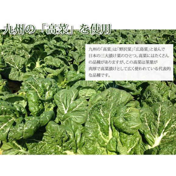 明太からし高菜漬 送料無料 明太高菜 漬物 360g 1g 3袋 海千 博多明太子 お試し お取り寄せ 九州産高菜 辛子高菜 つけもの Foody Sの通販 お取り寄せなら ぐるすぐり