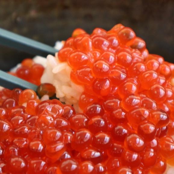 魚卵 イクラ いくら醤油漬け 小ロット バラ売り 500g 冷凍 北海道産 フジ物産 フジ物産株式会社 食品部の注文 仕入なら業務用食材 資材通販ぐるなび仕入モール