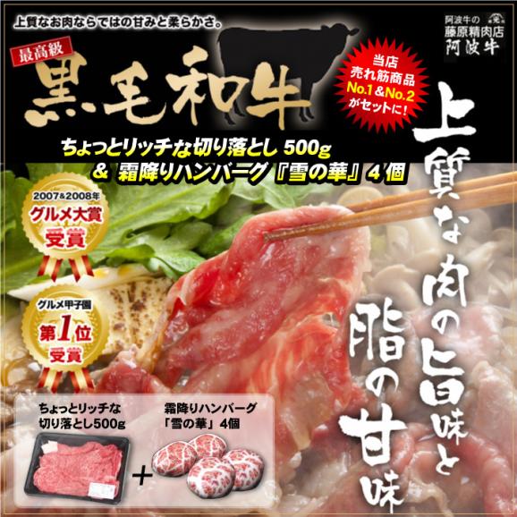 送料無料 ちょっとリッチな切り落とし500g 霜降りハンバーグ4個セット 阿波牛の藤原精肉店の通販 お取り寄せなら ぐるすぐり