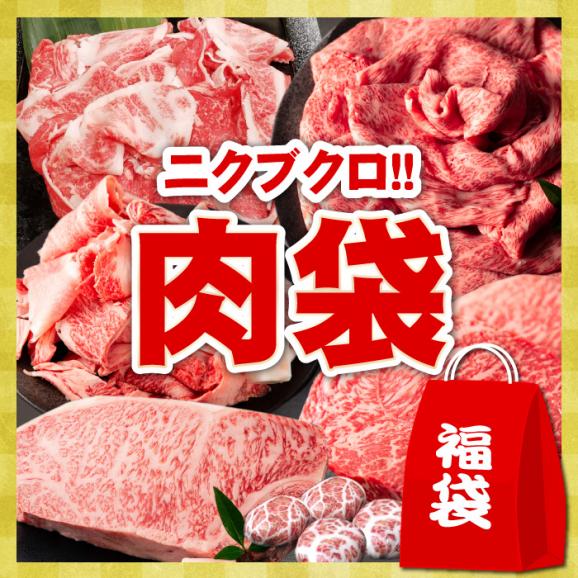 福袋 21 食品 送料無料 黒毛和牛 こんな夢の福袋欲しかった 題して ザ ニクブクロ 肉袋 お肉 いっぱい 合計6品 2kg以上 中身が見える 福袋 肉 阿波牛の藤原精肉店の通販 お取り寄せなら ぐるすぐり