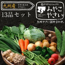 九州野菜１３品ベストセレクション 【送料無料】