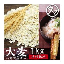 九州産大麦 【送料無料】 1000g 食べる食物繊維の宝庫な食材