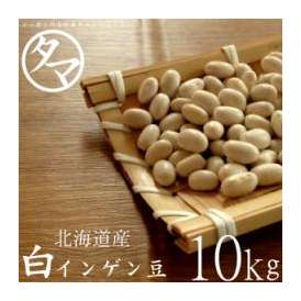 10kg 北海道産 白いんげん豆（大手亡豆）（30年度産） 送料無料