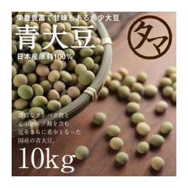 青大豆 10kg 送料無料　 国産(宮崎産） (遺伝子組み換えなし)