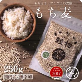 九州産もち麦 【送料無料】 250g もっちりプチプチとした食感と食物繊維が豊富な食材
