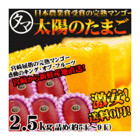 最高級フルーツ宮崎の厳しい基準を乗り越えた『香り・色艶・糖度』全てが最高のプレミアム宮崎完熟マンゴー