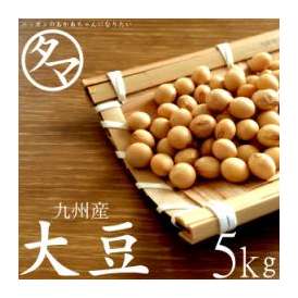 【送料無料】九州産 大豆 5kｇ （令和2年産）【BCAA ロイシン】