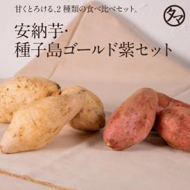 安納芋＆種子島ゴールド紫芋 夢芋セット 【送料無料】 （合計2kg）各1000gずつ