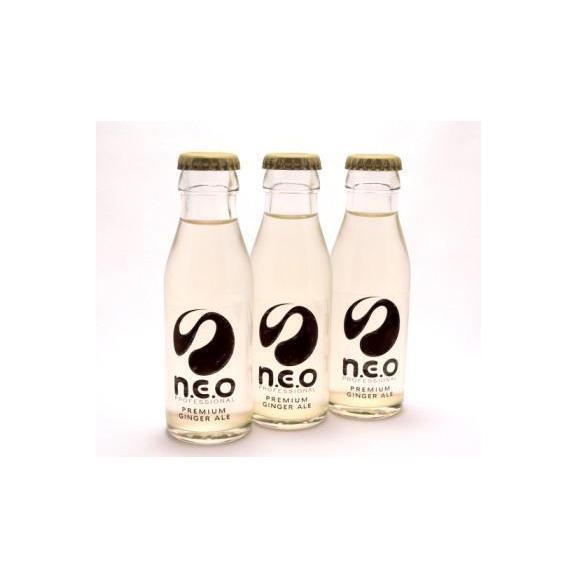 N E O ネオ プレミアムジンジャー エール 95ml 24本 4ケース はかた寿賀やの通販 お取り寄せなら ぐるすぐり
