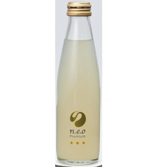 N E O ネオ プレミアムジンジャエール ２００ｍｌ 24本 はかた寿賀やの通販 お取り寄せなら ぐるすぐり