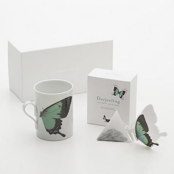 バタフライティーBUTTERFLY gift set／green＆Darjeeling01