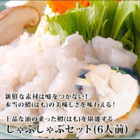 熊本県産黄金の鱧を使用した「鱧（はも）しゃぶセット」３人前！贅沢なディナーや、ギフトにおすすめです！