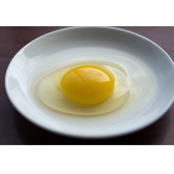 平飼い無添加飼料で育む烏骨鶏の有精卵 個 五頭山麓ひよころ鶏園の通販 お取り寄せなら ぐるすぐり